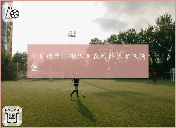 今日德甲:勒沃库森对阵沃尔夫斯堡