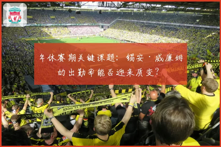 年休赛期关键课题：锡安·威廉姆森的出勤率能否迎来质变？