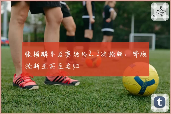 张镇麟季后赛场均2.3次抢断,锋线抢断王实至名归