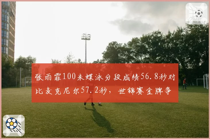 张雨霏100米蝶泳分段成绩56.8秒对比麦克尼尔57.2秒,世锦赛金牌争夺战